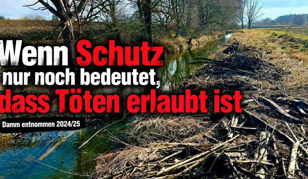 Wenn Schutz nur noch bedeutet, dass Töten erlaubt ist