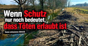 Wenn Schutz nur noch bedeutet, dass Töten erlaubt ist