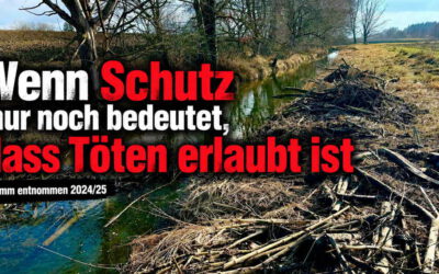 Wenn Schutz nur noch bedeutet, dass Töten erlaubt ist